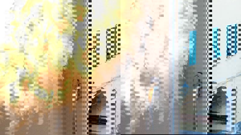 164 Paradiso Dettaglio Luce Finestra 46A7258 Lr